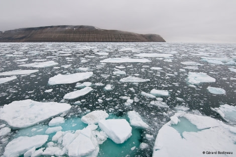 PLA13-17, Day 4 2017-08-14_8_GerardBodineau_PackIce_© Oceanwide Expeditions.jpg