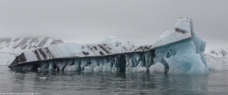 PLA06-17 2 20170616_Katja Riedel_Burgerbukta_P1870038-Oceanwide Expeditions.jpg