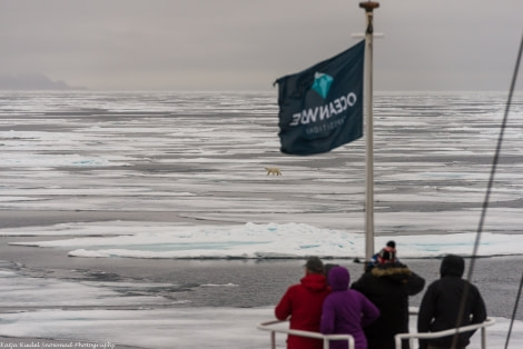 PLA11-17, Day 4, Round Spitsbergen20170727_Katja Riedel_DSC_2004-Oceanwide Expeditions.jpg