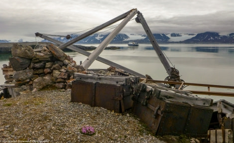 PLA11-17, Day 2, Round Spitsbergen20170725_Katja Riedel_P1910039-Oceanwide Expeditions.jpg