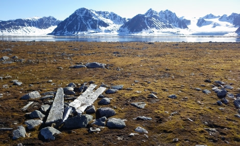 PLA08-17, Day 4 02072017 Smeerenburg whalers grave_MichellevanDijk - Oceanwide Expeditions.jpg