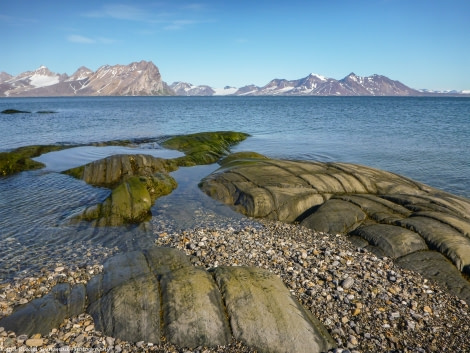 PLA11-17, Day 8, Round Spitsbergen20170731_Katja Riedel_P1910245-Oceanwide Expeditions.jpg