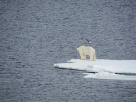 OTL14-17, Day 4, IMG_5751_© Oceanwide Expeditions.JPG