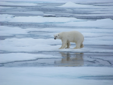 OTL13-17, Day 4, IMG_5374_© Oceanwide Expeditions.JPG