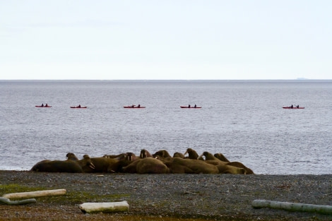 OTL14-17, Day 5, P1260786_© Oceanwide Expeditions.jpg