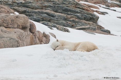 PLA14-17, Day 6 2017-08-25_2_GerardBodineau_SleepingBear _Oceanwide Expeditions.jpg