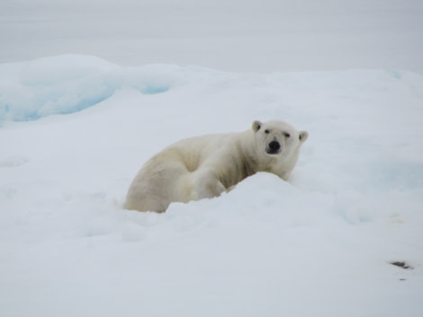 OTL14-17, Day 3, IMG_5671_© Oceanwide Expeditions.JPG