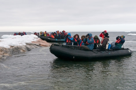 PLA14-17, Day 6 2017-08-25_5_GerardBodineau_WatchingBears _Oceanwide Expeditions.jpg