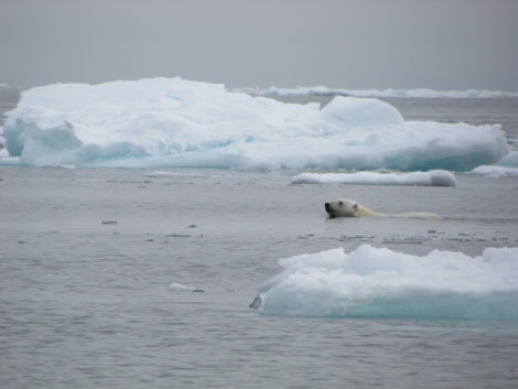 OTL13-17, Day 5, IMG_5426_© Oceanwide Expeditions.JPG