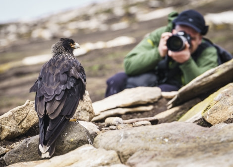 Falklands, South Georgia, Ant Peninsula © Fotografie Dietmar Denger-Oceanwide Expeditions30.jpg