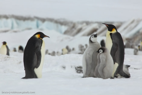 OTL22A-17,BU6A8737_© Oceanwide Expeditions.jpg