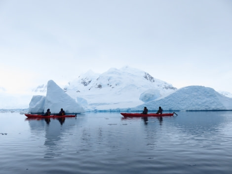 TRIP LOG OTL21-17, Day 8 IMG_6011_© Oceanwide Expeditions.JPG