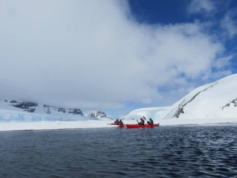 TRIP LOG OTL21-17, Day 7 peltier channel_© Oceanwide Expeditions.JPG