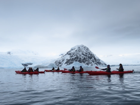 TRIP LOG OTL21-17, Day 8 kayak neko3_© Oceanwide Expeditions.JPG