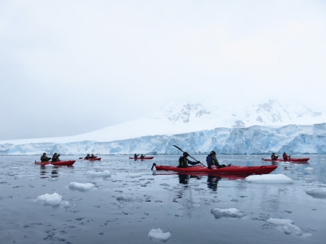 TRIP LOG OTL21-17, Day 6 IMG_5815_© Oceanwide Expeditions.JPG