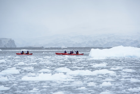 Kayaking, Antartica © Folkert Lenz-Oceanwide Expeditions (22).jpg