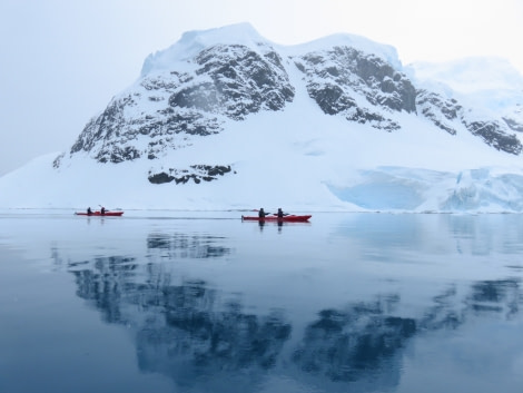 TRIP LOG OTL21-17, Day 6 IMG_5774_© Oceanwide Expeditions.JPG