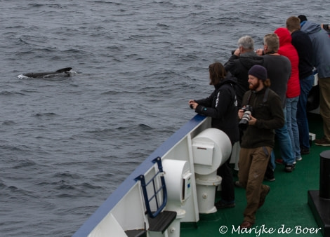 PLA22-17,20171128-IMG_0827_Marijke de Boer_© Oceanwide Expeditions.jpg