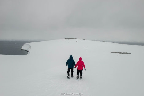PLA25-17, 2018-01-03 Damoy Point - snowshoeing - Esther Kokmeijer-09_© Oceanwide Expeditions.jpg