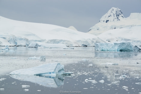 PLA24-17, 2017-12-24 - Stony Point Esther Kokmeijer-17_© Oceanwide Expeditions.jpg