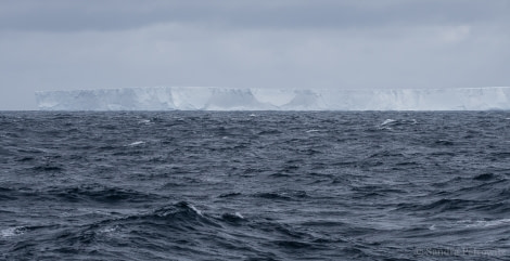 OTL25-18, Day 12, 20171227_SandraPetrowitz_Tabular_Iceberg_© Oceanwide Expeditions.jpg