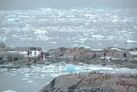 PLA25-17, 2018-01-04 Petermann - Esther Kokmeijer-02_© Oceanwide Expeditions.jpg