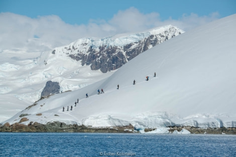 PLA25-17, 2018-01-05 Enterprise Bay - Esther Kokmeijer-07_© Oceanwide Expeditions.jpg