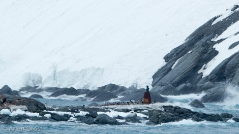 OTL25-18, Day 13, 20171228_Arjen_Drost_Point_Wild_bust_© Oceanwide Expeditions.jpg