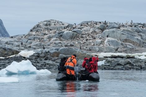 OTL26-18, Day 5 20180107_SandraPetrowitz_Pleneau_Penguins_© Oceanwide Expeditions.jpg