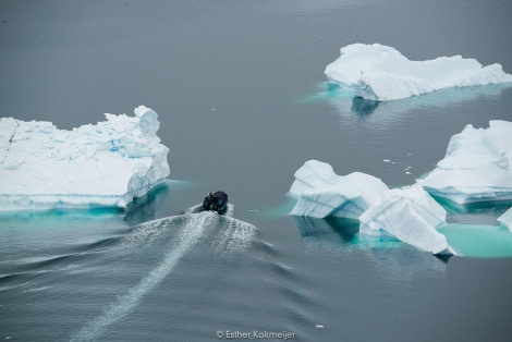 PLA25-17, 2018-01-01 Cuverville Island - Landing Operation - Esther Kokmeijer-37_© Oceanwide Expeditions.jpg