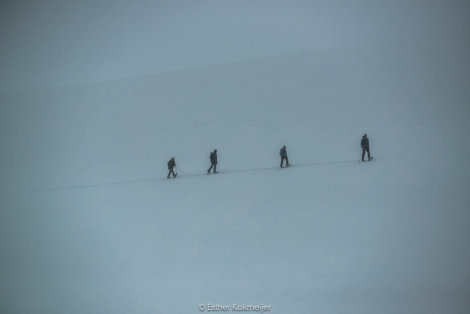 PLA25-17, 2018-01-03 Damoy Point - Esther Kokmeijer-20_© Oceanwide Expeditions.jpg