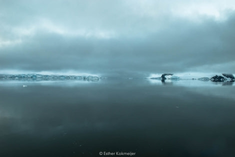 PLA25-17, 2018-01-04 Paradise Harbour - Esther Kokmeijer-07_© Oceanwide Expeditions.jpg