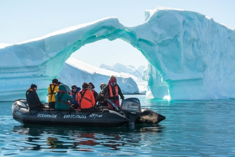 PLA25-17, 2018-01-05 Enterprise Bay - Esther Kokmeijer-27_© Oceanwide Expeditions.jpg