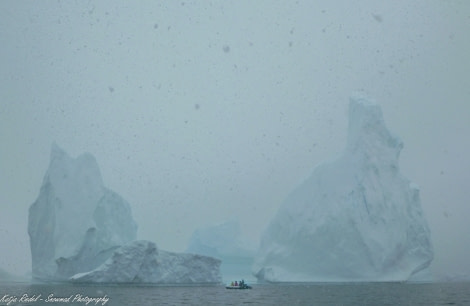 PLA25-17, 20180104_Katja Riedel_P2000757_© Oceanwide Expeditions.jpg