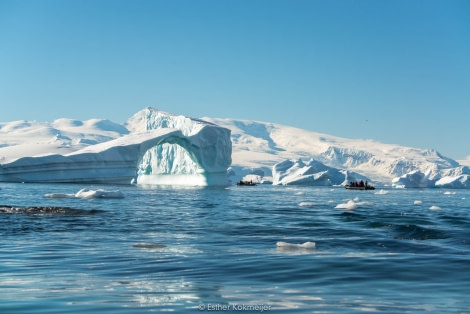 PLA25-17, 2018-01-05 Enterprise Bay - Esther Kokmeijer-26_© Oceanwide Expeditions.jpg