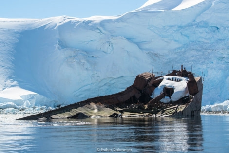 PLA25-17, 2018-01-05 Enterprise Bay - Esther Kokmeijer-05_© Oceanwide Expeditions.jpg