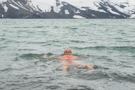 PLA25-17, 2018-01-06 Deception Island - Esther Kokmeijer-19_© Oceanwide Expeditions.jpg