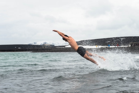 PLA25-17, 2018-01-06 Deception Island - Polar Plunge - Esther Kokmeijer-32_© Oceanwide Expeditions.jpg