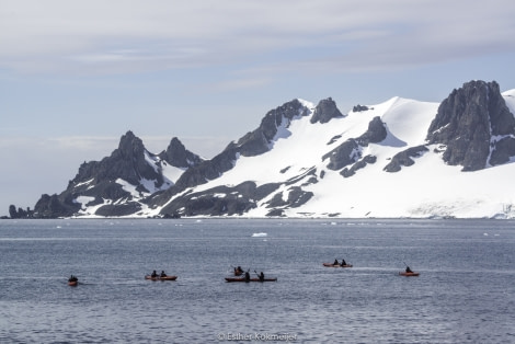 PLA24-17, 2017-12-26 - Half Moon Island Esther kokmeijer-3_© Oceanwide Expeditions.jpg