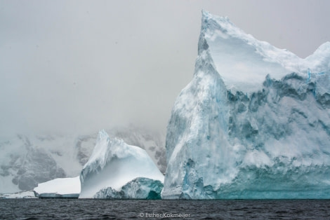 PLA25-17, 2018-01-04 Zodiac Cruize - Booth Island Bay - Esther Kokmeijer-15_© Oceanwide Expeditions.jpg