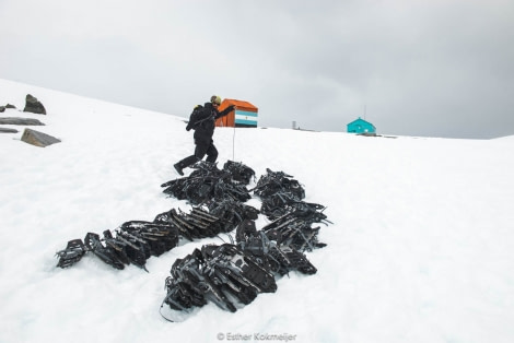 PLA25-17, 2018-01-03 Damoy Point - snowshoeing - Esther Kokmeijer-04_© Oceanwide Expeditions.jpg
