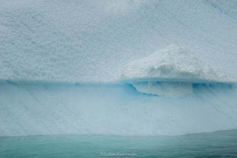 PLA25-17, 2018-01-01 Cuverville Island - Esther Kokmeijer-45_© Oceanwide Expeditions.jpg