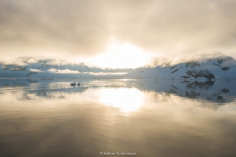 PLA25-17, 2018-01-04 Paradise Harbour - Esther Kokmeijer-02_© Oceanwide Expeditions.jpg