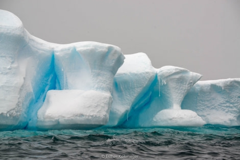 PLA25-17, 2018-01-04 Zodiac Cruize - Booth Island Bay - Esther Kokmeijer-05_© Oceanwide Expeditions.jpg