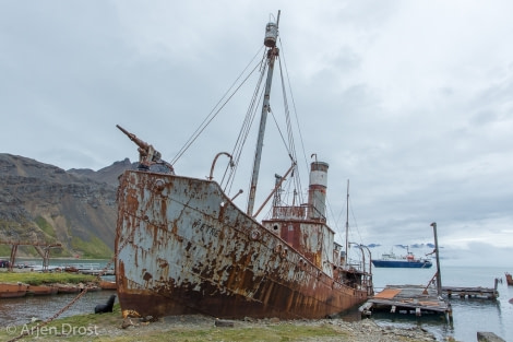 OTL25-18, Day 08, 20171223_Arjen_Drost_Grytviken_Petrel_Ortelius_© Oceanwide Expeditions.jpg