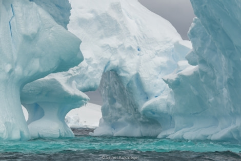 PLA24-17, 2017-12-23 - Zodiac Cruise Esther Kokmeijer-05_© Oceanwide Expeditions.jpg