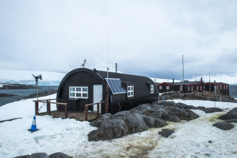 PLA24-17, 2017-12-21 - Port lockroy Esther Kokmeijer-05_© Oceanwide Expeditions.jpg