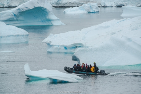 PLA25-17, 2018-01-01 Cuverville Island - Landing - Esther Kokmeijer-13_© Oceanwide Expeditions.jpg