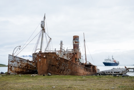 OTL25-18, Day 08, 20171223_SandraPetrowitz_Grytviken_Ortelius_© Oceanwide Expeditions.jpg