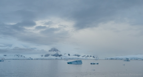 OTL25-18, Day 16, 20171231_SandraPetrowitz_Foyn_Morning_© Oceanwide Expeditions.jpg